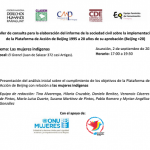 Las mujeres indígenas: taller de consulta para la elaboración del informe de la sociedad civil sobre la implementación  de la Plataforma de Acción de Beijing 1995 a 20 años de su aprobación (Beijing +20)  
