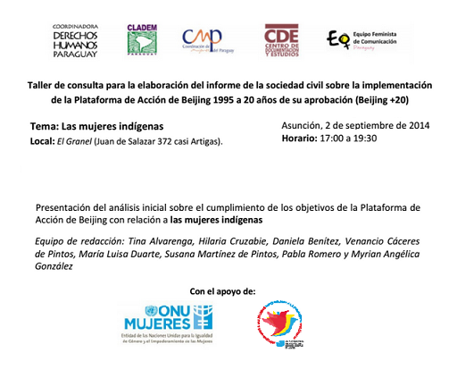 Las mujeres indígenas: taller de consulta para la elaboración del informe de la sociedad civil sobre la implementación  de la Plataforma de Acción de Beijing 1995 a 20 años de su aprobación (Beijing +20)  