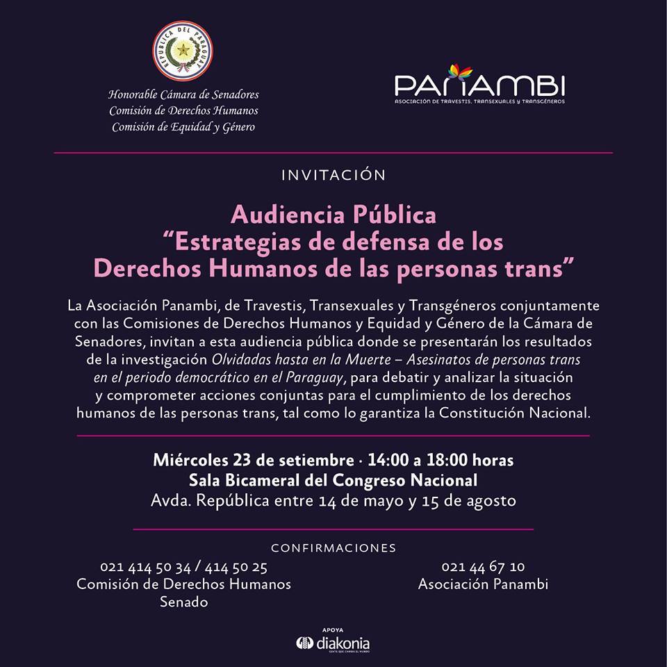 Audiencia pública "Estrategias de defensa de los derechos humanos de las personas trans"